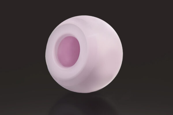 Exactech Hip BIOLOX delta Ceramics